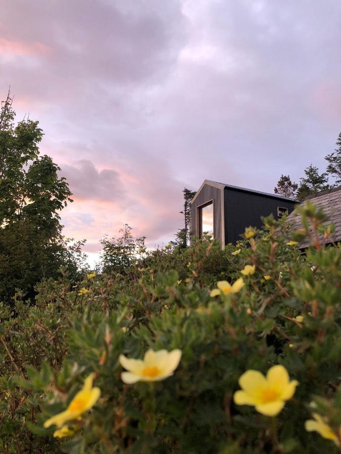 Tiny Home In Isle Of Skye-Pet Friendly Elgol ภายนอก รูปภาพ