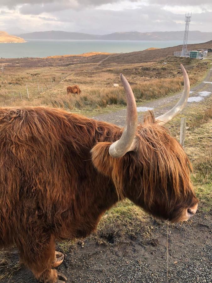 Tiny Home In Isle Of Skye-Pet Friendly Elgol ภายนอก รูปภาพ